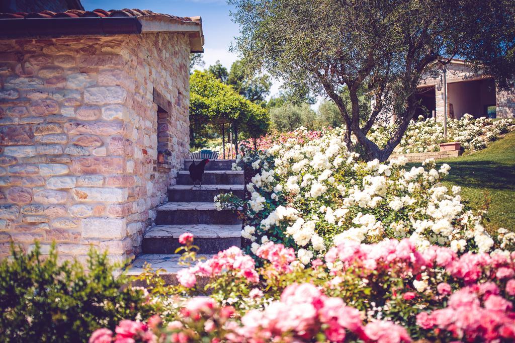 Agriturismo Casal San Sergio Fossombrone Eksteriør bilde
