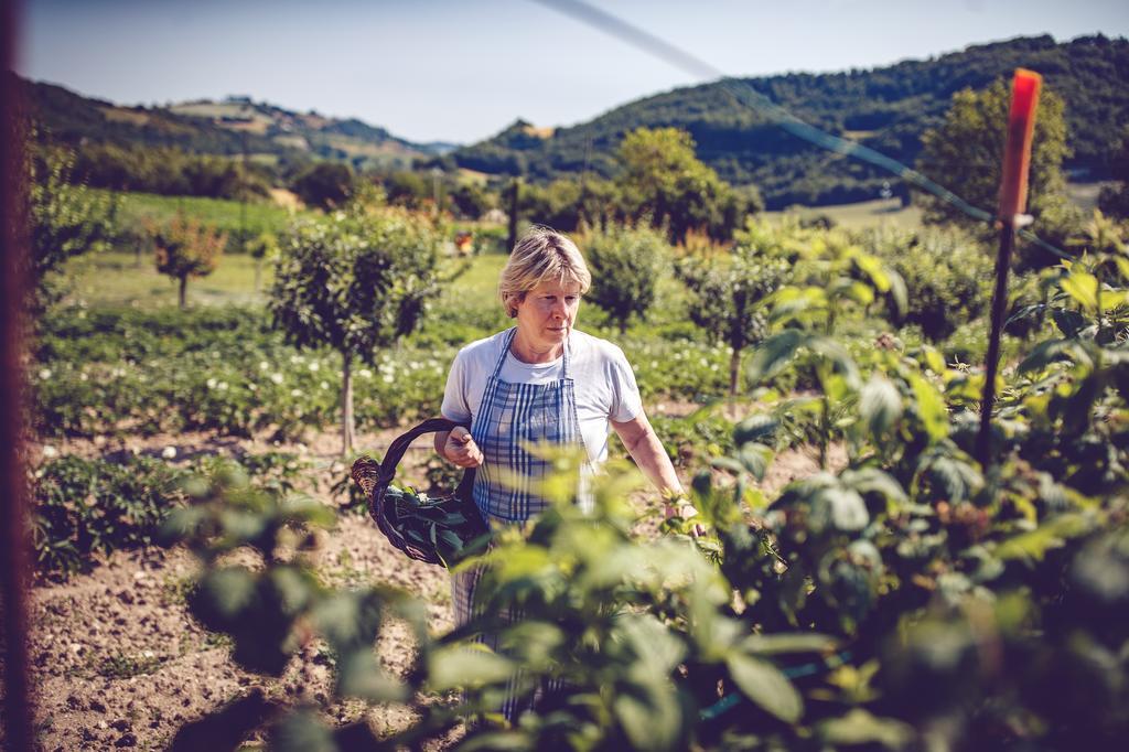 Agriturismo Casal San Sergio Fossombrone Eksteriør bilde