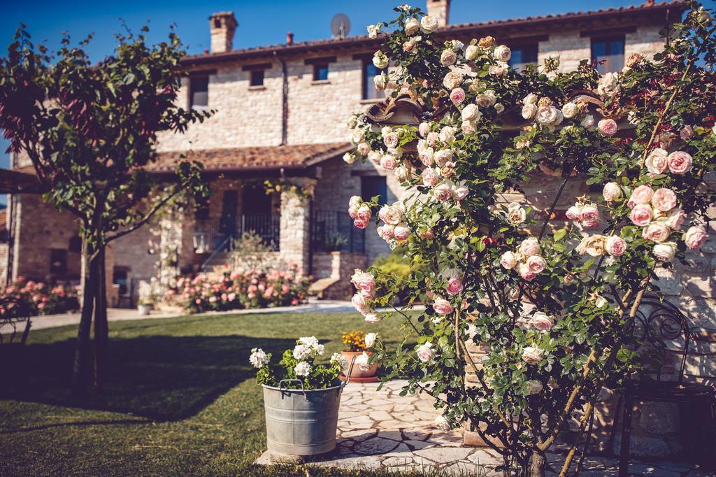 Agriturismo Casal San Sergio Fossombrone Eksteriør bilde