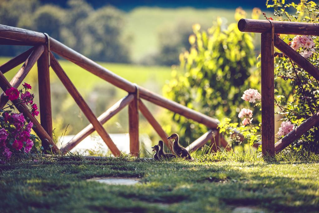 Agriturismo Casal San Sergio Fossombrone Eksteriør bilde